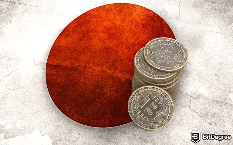 Japanese Crypto-Asset Associations Request Lowered Taxation for Crypto Earnings
