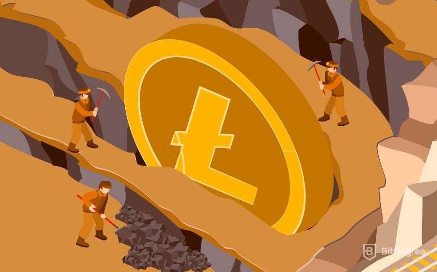 Как Майнить Litecoin? Подробный Гайд по Litecoin Майнинг