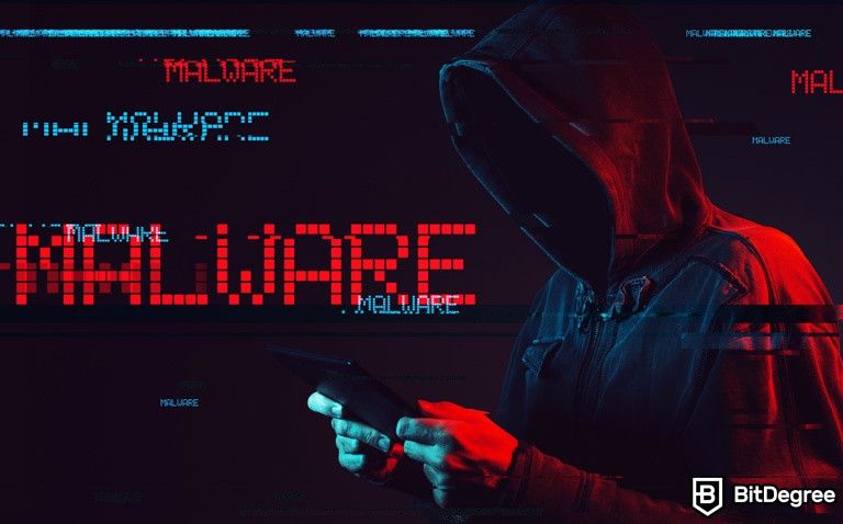 MetaMask and 40 Other Crypto Wallets Became New Malware Targets