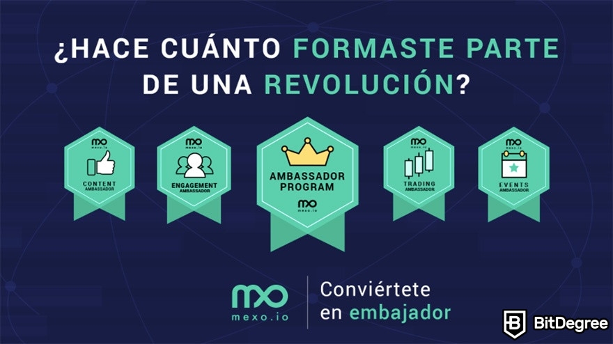 Mexo review: ambassador program.