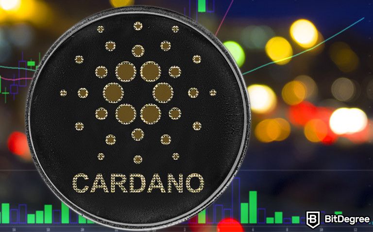 Not All Users Agree That Cardano Network's Capacity is a Success