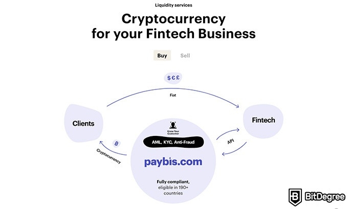 Paybis review: liquidity services.