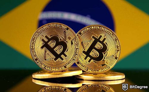 Record Number of Brazilian Institutions Declare Crypto Holdings