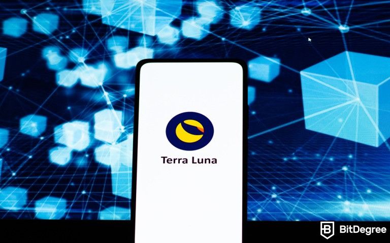 Terra Builds up its Reserves with $200M Worth of AVAX