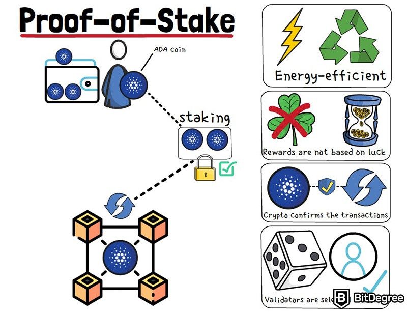 What is staking: Proof-of-Stake.