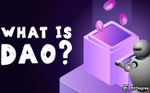 The Notion of a Decentralized Autonomous Ogranization (DAO)