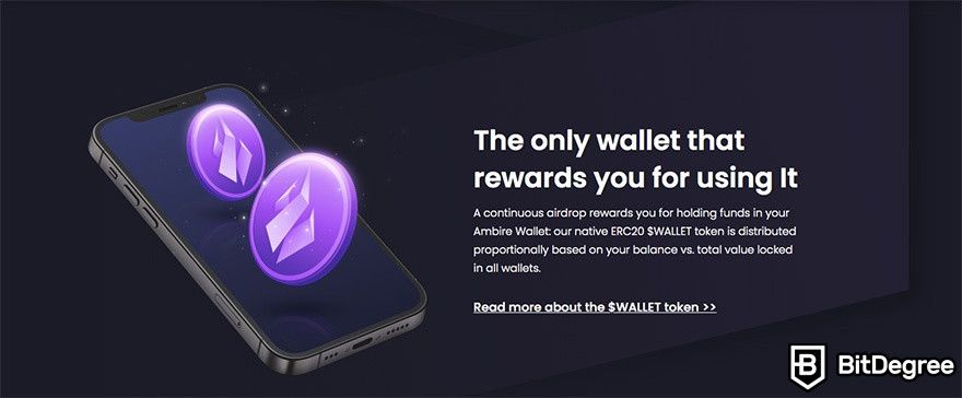 What is Ambire Wallet: wallet rewards.