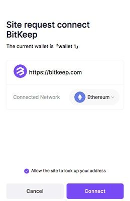 What is BitKeep: connecting to the BitKeep website.