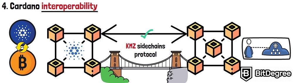 Cardano là gì trong tiền điện tử: Khả năng tương tác Cardano.