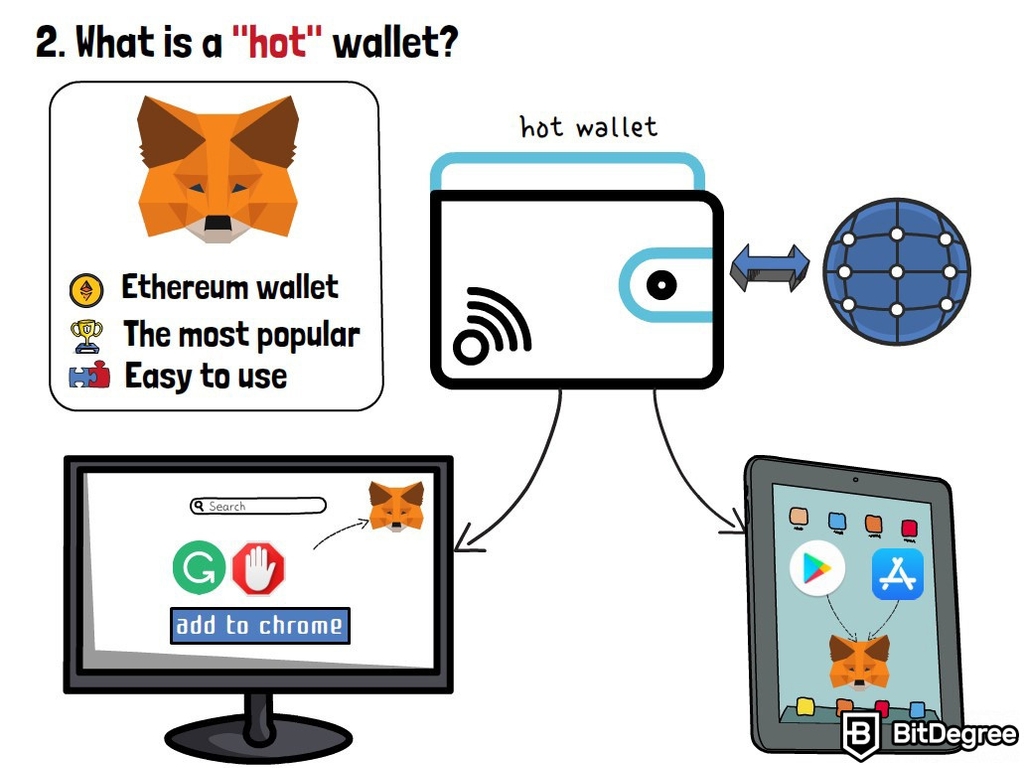 O Que É MetaMask: O que é uma carteira quente