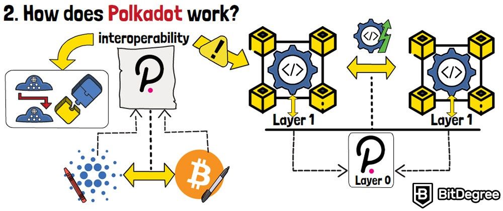 What is Polkadot in crypto: Interoperability.
