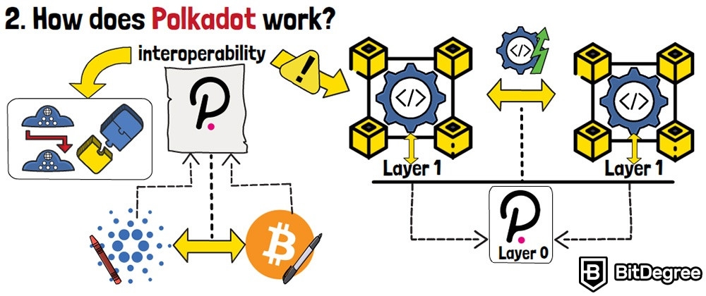 加密货币中的 Polkadot 是什么：互操作性。