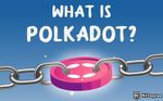 加密货币中的 Polkadot 是什么？