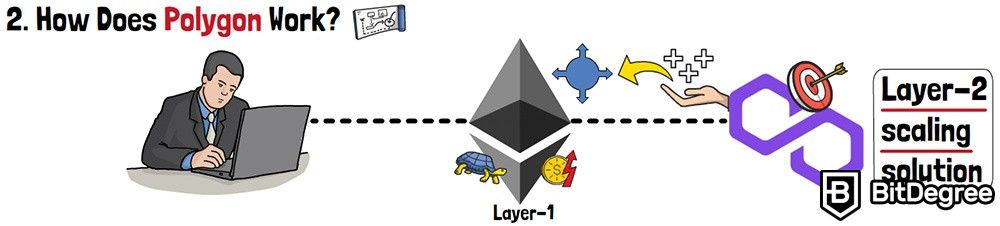 What is Polygon in crypto: How does Polygon work?