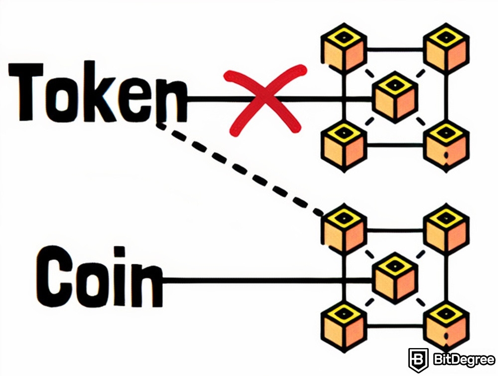 Shiba Inu coin là gì: Token và coin.