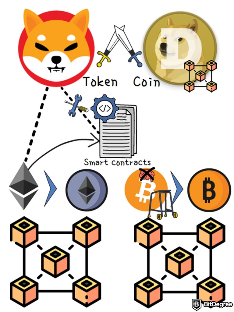 Shiba Inu coin là gì: Shiba Inu coin và Dogecoin.