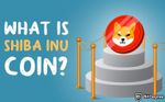 Shiba Inu: the Dogecoin Killer