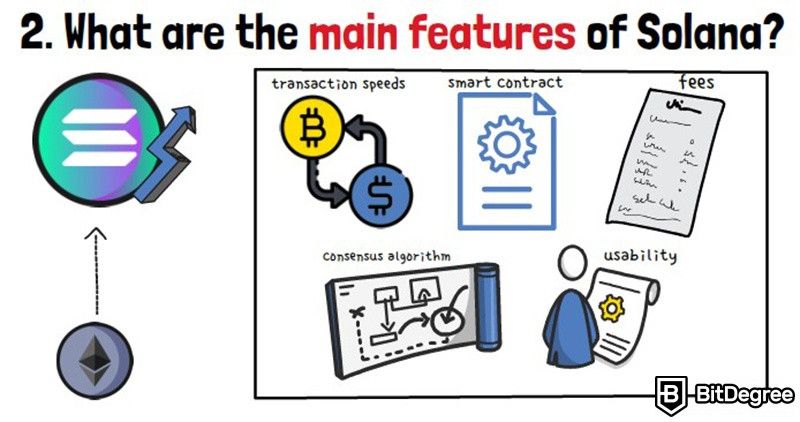 What is Solana in crypto: The main features of Solana.