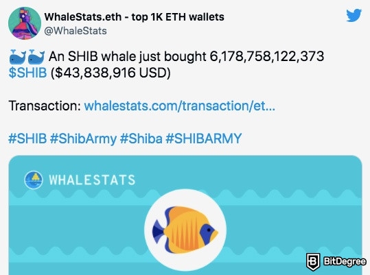 Mua Shiba Coin ở đâu: Một Tweet khác.