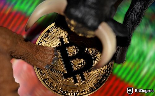 BTC Not in Bear Market Despite "Peak Fear" Levels, Says Willy Woo