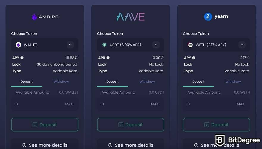 Ambire Wallet review: earning functionality.