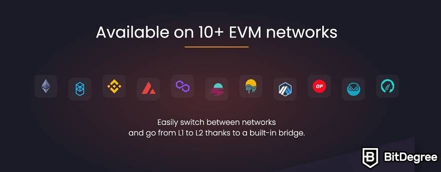 Ambire Wallet review: supported EVM networks.