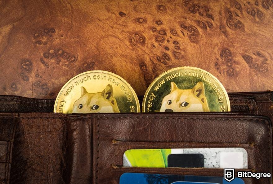 Best Dogecoin wallet: Dogecoin in a wallet.