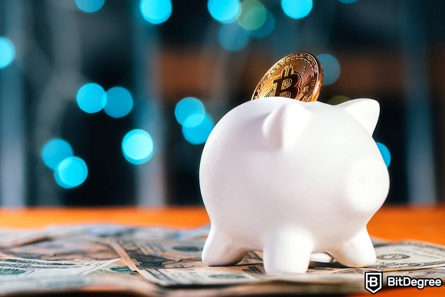 Best crypto trading platform: Crypto piggy bank.