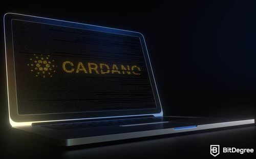 Cardano Plans to Launch Its Algorithmic Stablecoin in January 2023