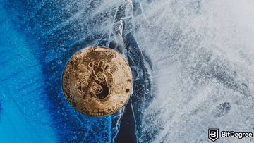 Crypto Winter Meaning: Are We Currently in One?