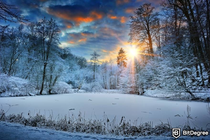 Crypto winter meaning: a snowy forest in the Winter.