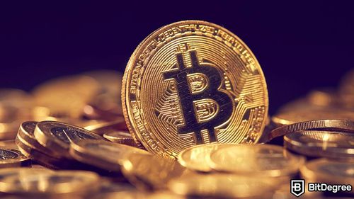 Dwpbank is Set to Launch a New Bitcoin Trading Platform, Dubbed wpNex