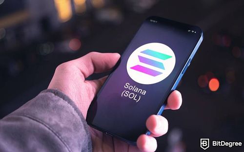 For the First Time in Nearly Two Years, Solana (SOL) Price Drops Below $10