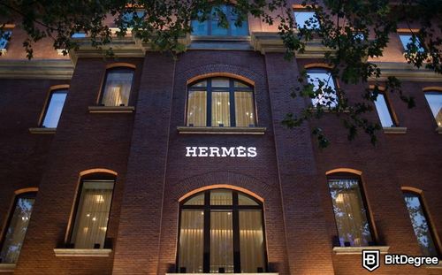 Luxury Brand Hermès Wins a Lawsuit Against MetaBirkins Creator Mason Rothschild