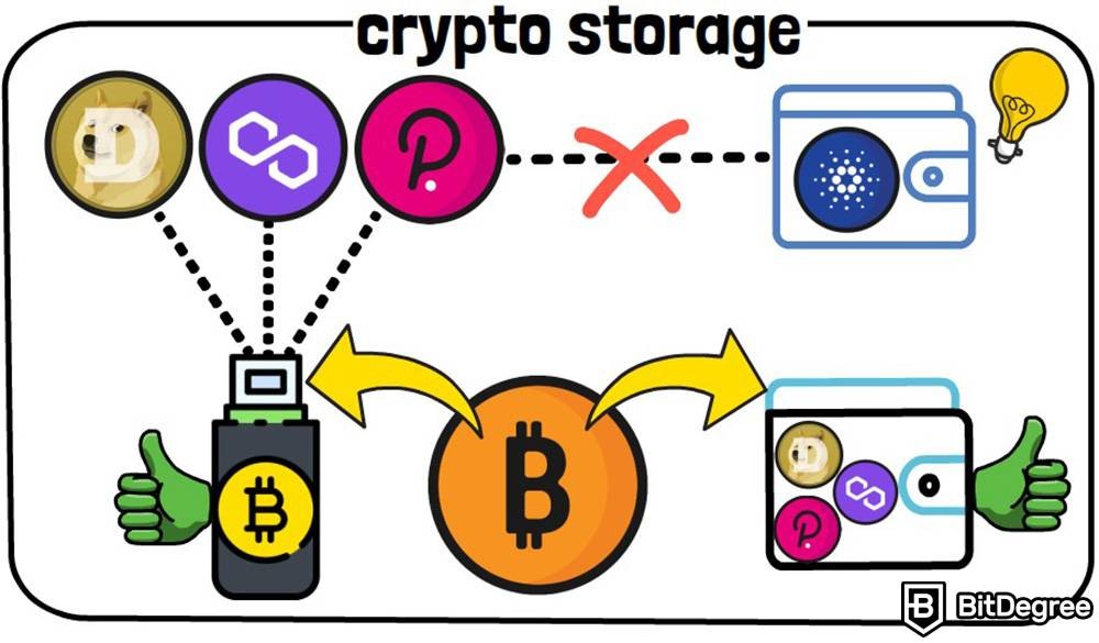 how to transfer crypto from hot wallet to cold wallet