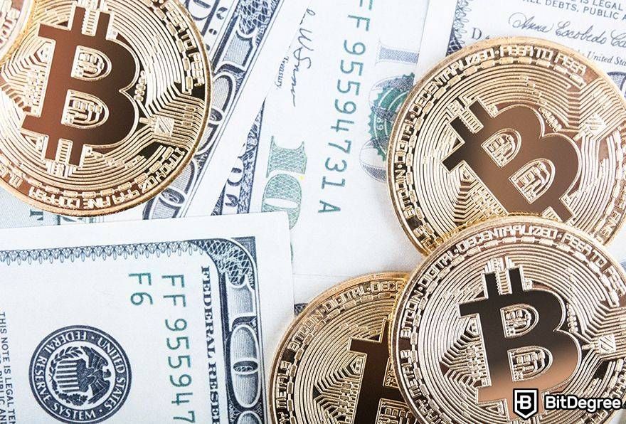 Is Bitcoin dead: Bitcoins around various dollar bills.