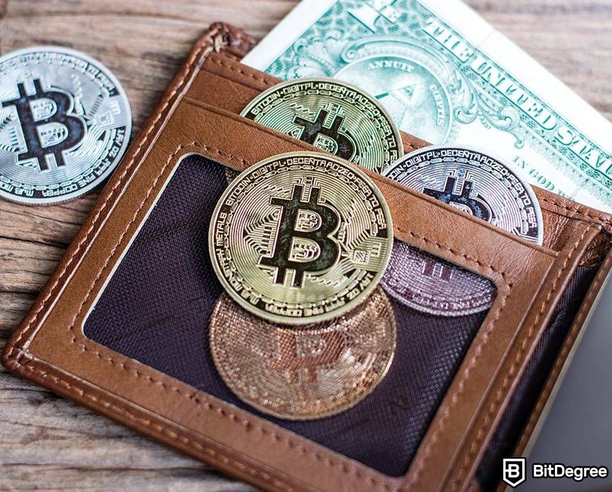 100 largest bitcoin wallets