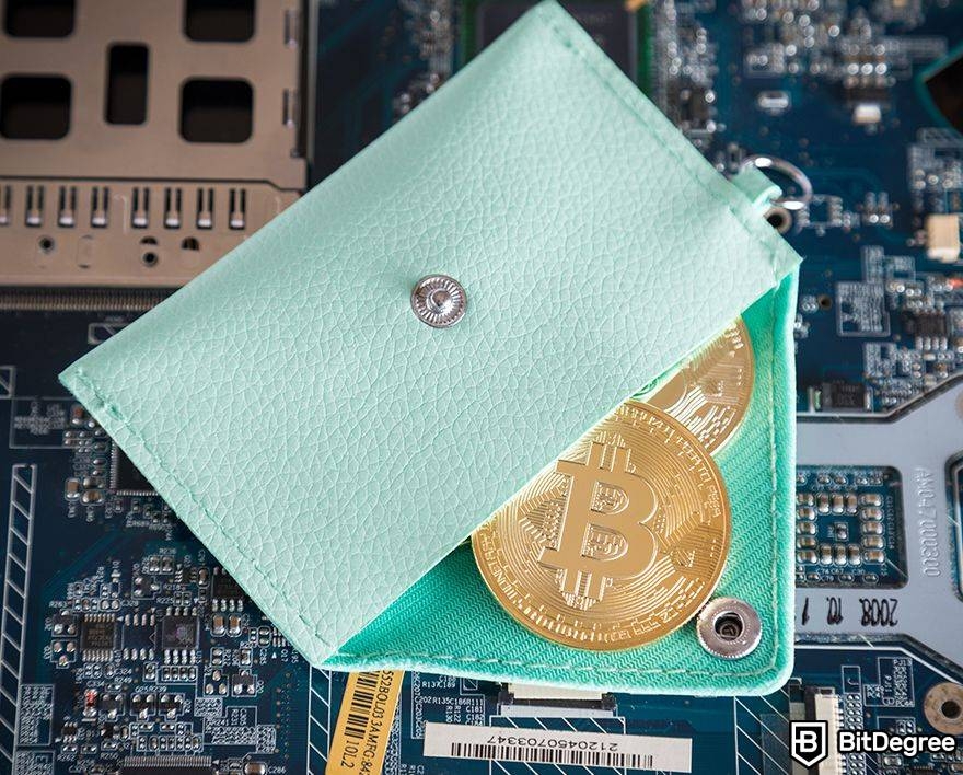 Largest lost Bitcoin wallet: Bitcoins in blue wallet.