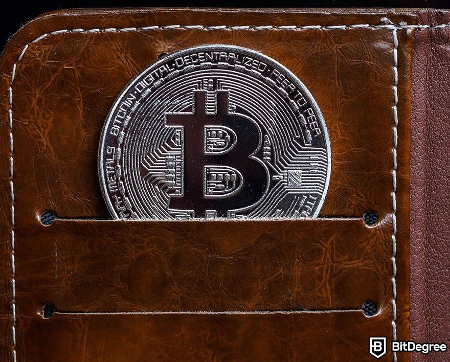 Largest lost Bitcoin wallet: Bitcoin in brown phone wallet.