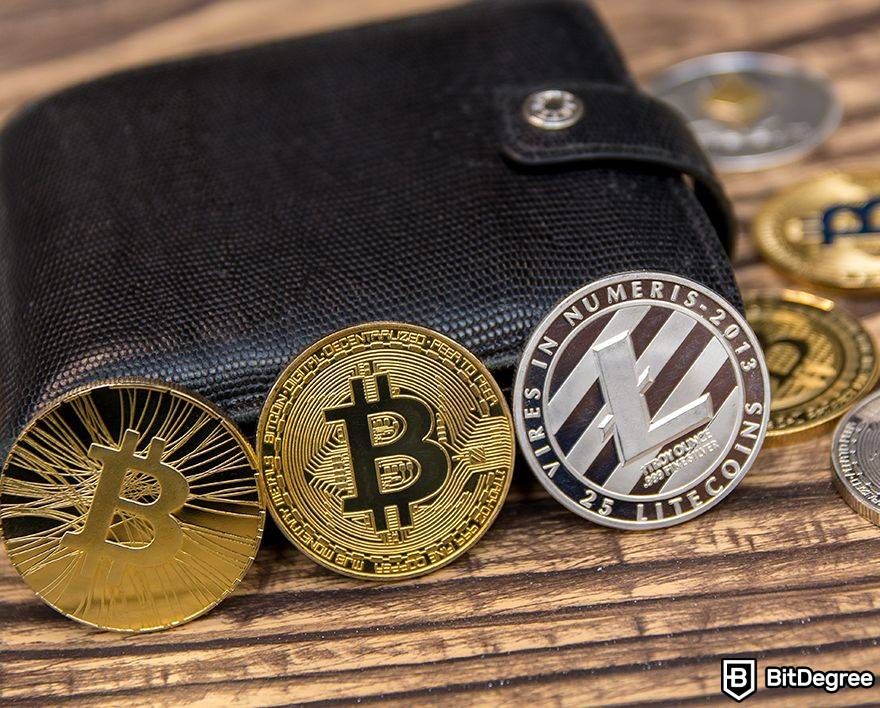 Largest lost Bitcoin wallet: shiny Bitcoins next to wallet.