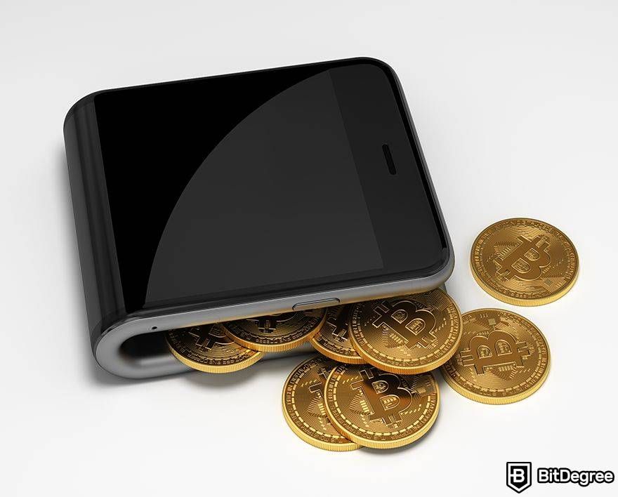 Largest lost Bitcoin wallet: phone style wallet with Bitcoins.
