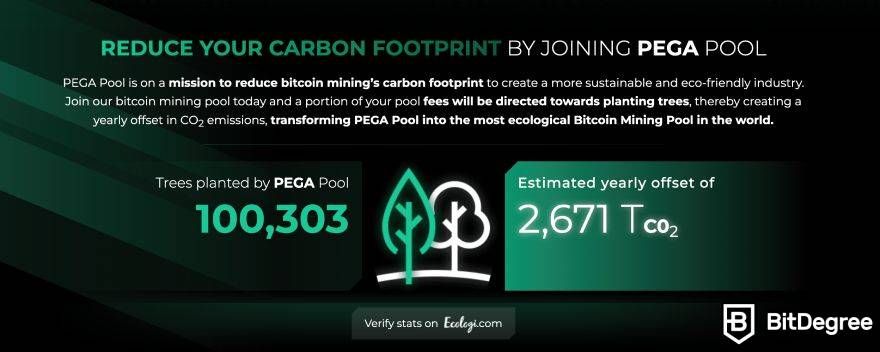 Análise da PEGA Pool: mais de 100.000 árvores plantadas.