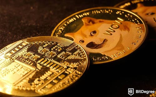 Shiba Inu Price Plunges 10% amid Shibarium Code Plagiarism Accusations