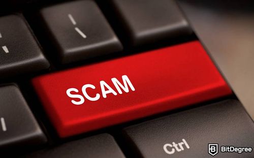 Solidus Labs Detects 15 Newly Deployed Scams an Hour