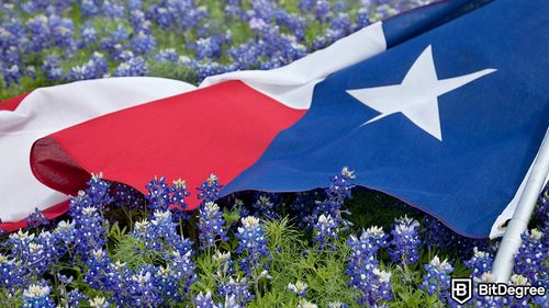 Texas House of Representatives Approve "Proof of Reserve" Bill