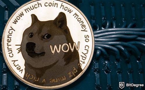 Twitter Crypto Wallet Rumors Make Dogecoin Price Surge by 40%