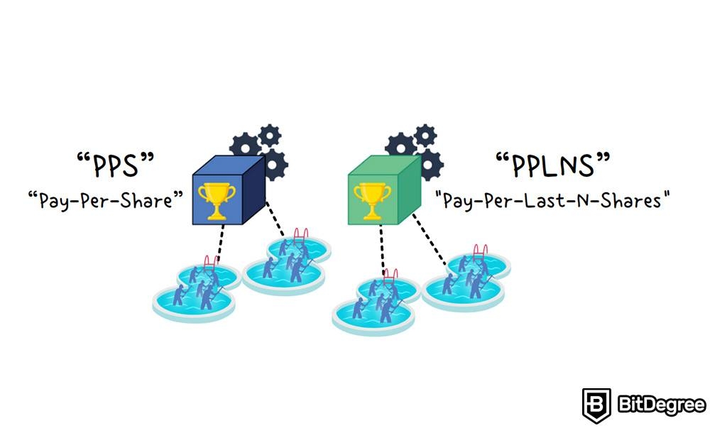 什么是矿池：PPS和PPLNS。