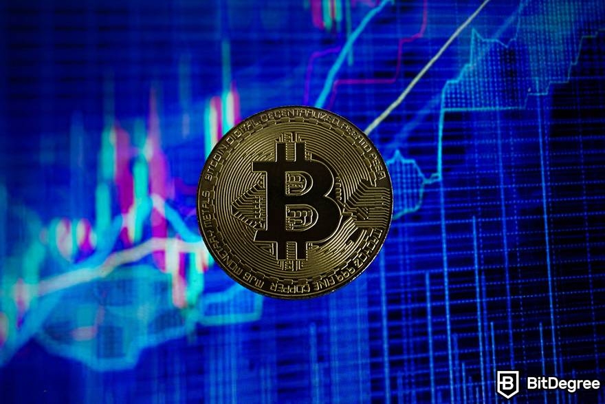 What was Bitcoin's highest price: BTC price.