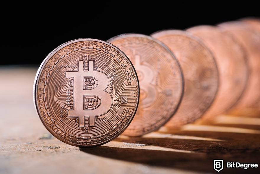 What was Bitcoin's highest price: BTC coins.