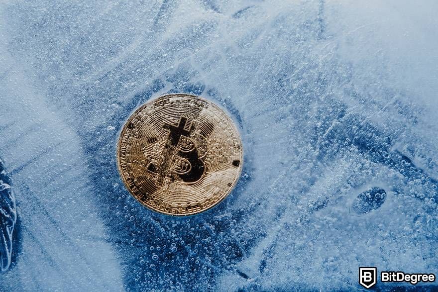 What was Bitcoin's highest price: Crypto winter.